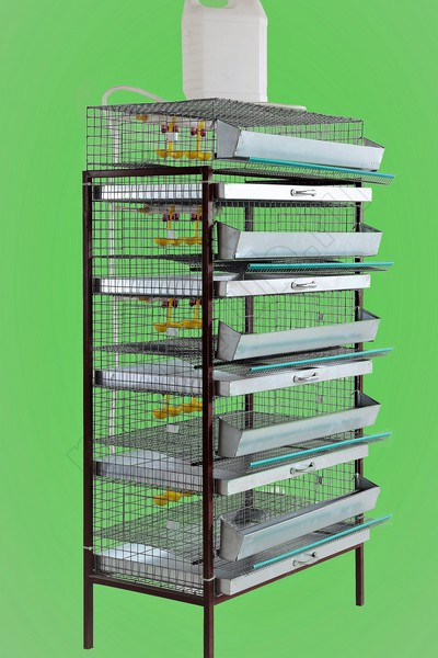 Стеллаж клетка для перепелов
